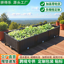 �̨�N�˼��÷Nֲ��Ӻ��L���λ���M��ʽ�����߲˷Nֲ�軨�����l