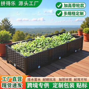 �̨�N�˼��÷Nֲ��Ӻ��L���λ���M��ʽ�����߲˷Nֲ�軨�����l