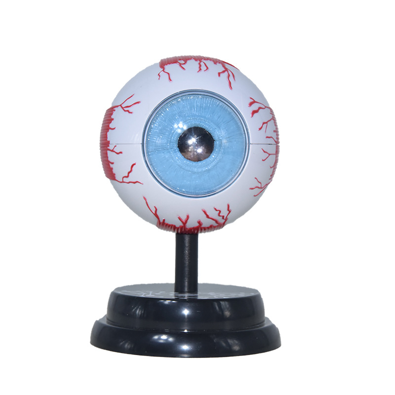 Yigao estudiante oftalmología experimento de lujo traje modelo de ciencia y educación para niños juguete estructura fisiológica modelo de ojo humano