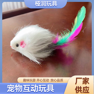 ؈���С�����ɫ��ë��؈���ǽ≺����؈��ë�q؈����Ʒ��ͨ