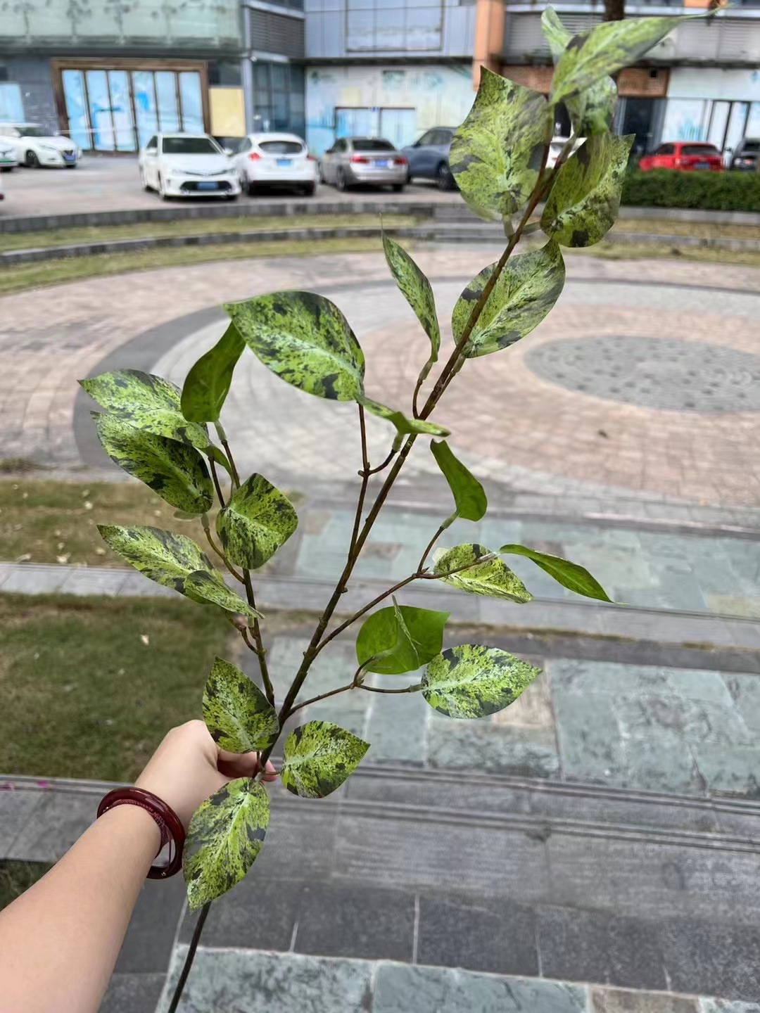 微信图片_20240227182429