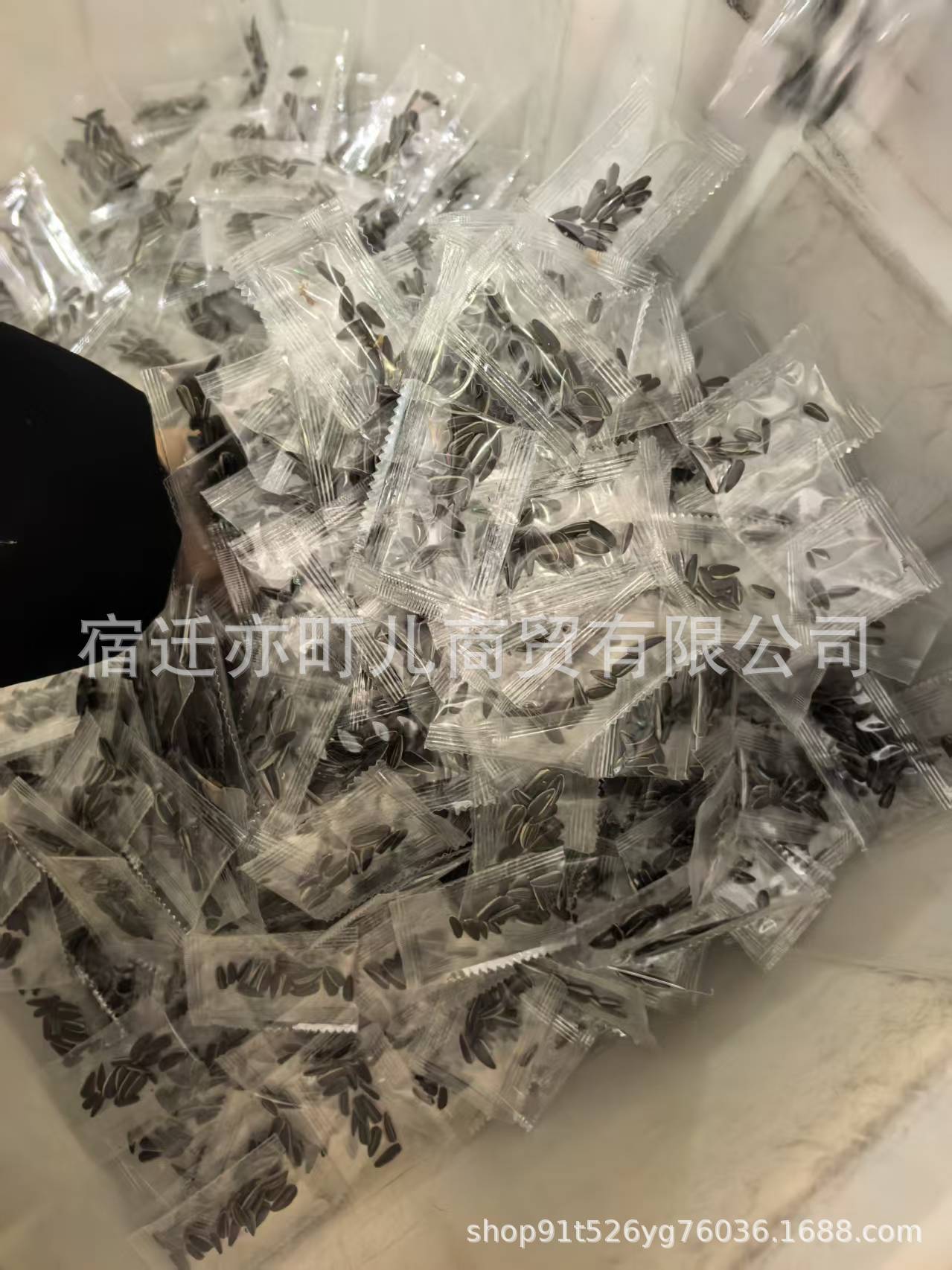 微信图片_20260201115309_2234_56