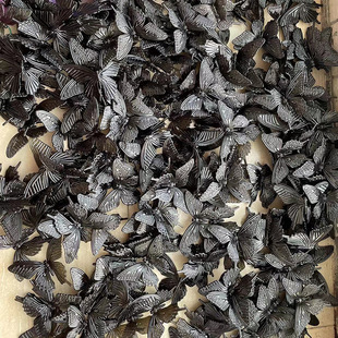 ��ɫ��С���z���w��������DIY����������ɫ͸���ͻò�Ч��100���]