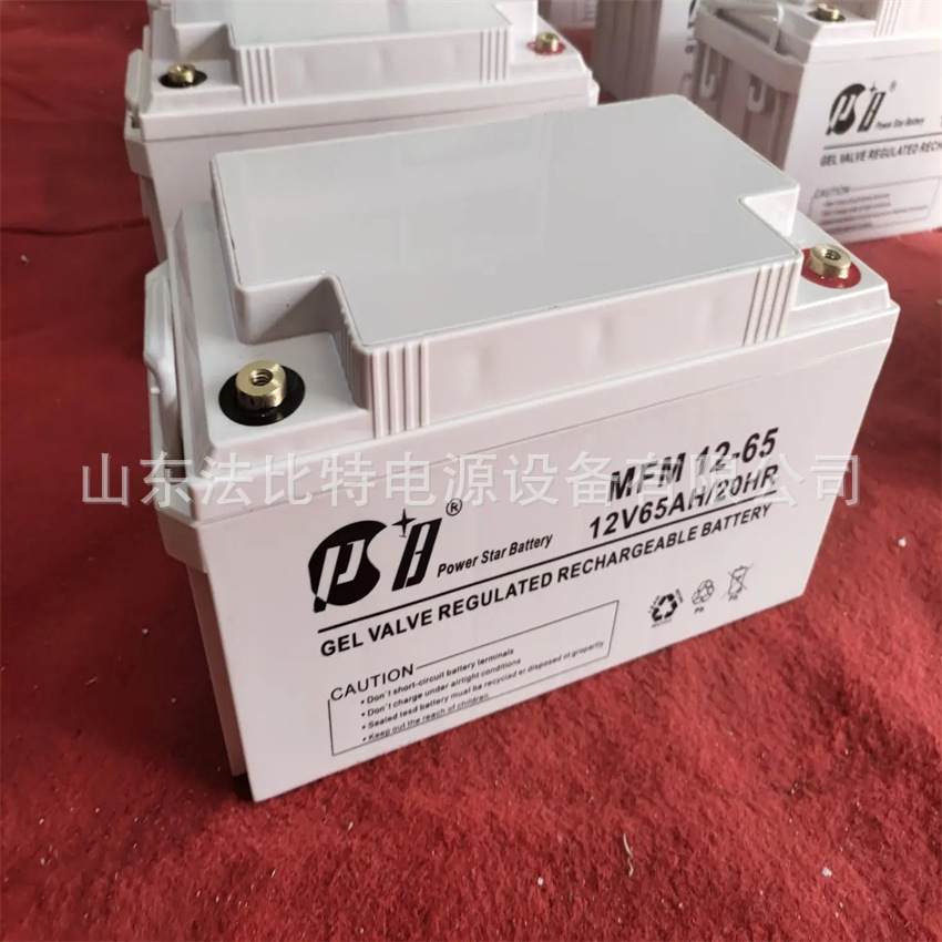 PSB蓄电池MFX12/100派士博蓄电池12V100AH后备电源 质保3年