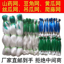 ֲ�����پW�����W�ι��W���ǵ��Ͻz�Ͽ���S�ϼܰ�����ָ̾W