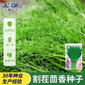 蔬菜种子
