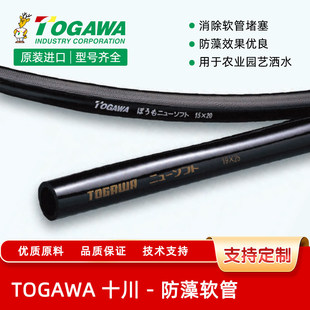 TOGAWA�ձ�ʮ����͸�����ܛ���r�I�@ˇ��ˮˮ��