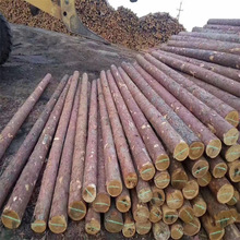 ԭľ~ɈAľľ~СU ~bľ~