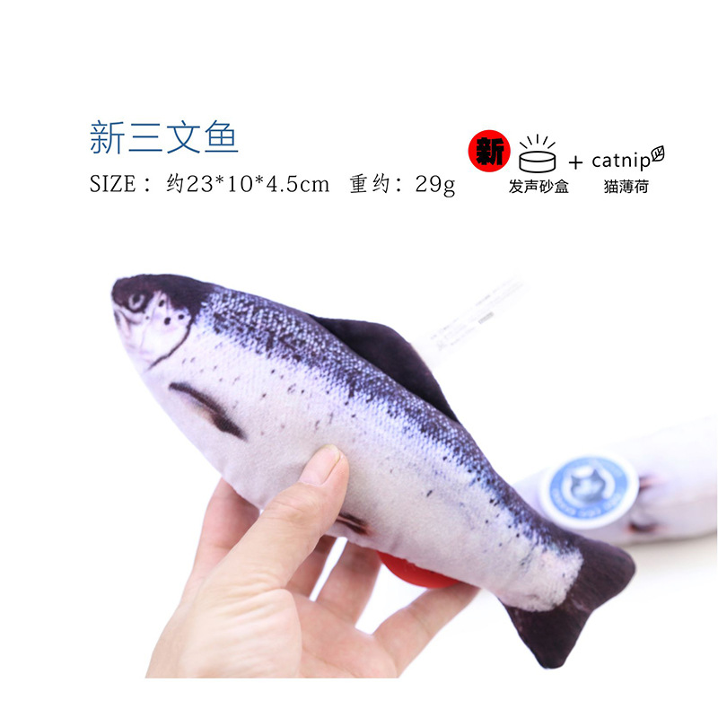새로운 연어