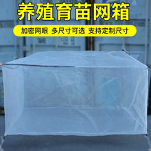 ���ڿ羳���S����_�l����80Ŀ�Bֳ͸���W��ˮ�a�B�~�W���~���