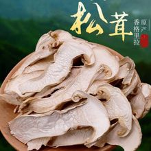 ����Ұ�����׹�������؛����خa����������׾��r���׸�Ƭ