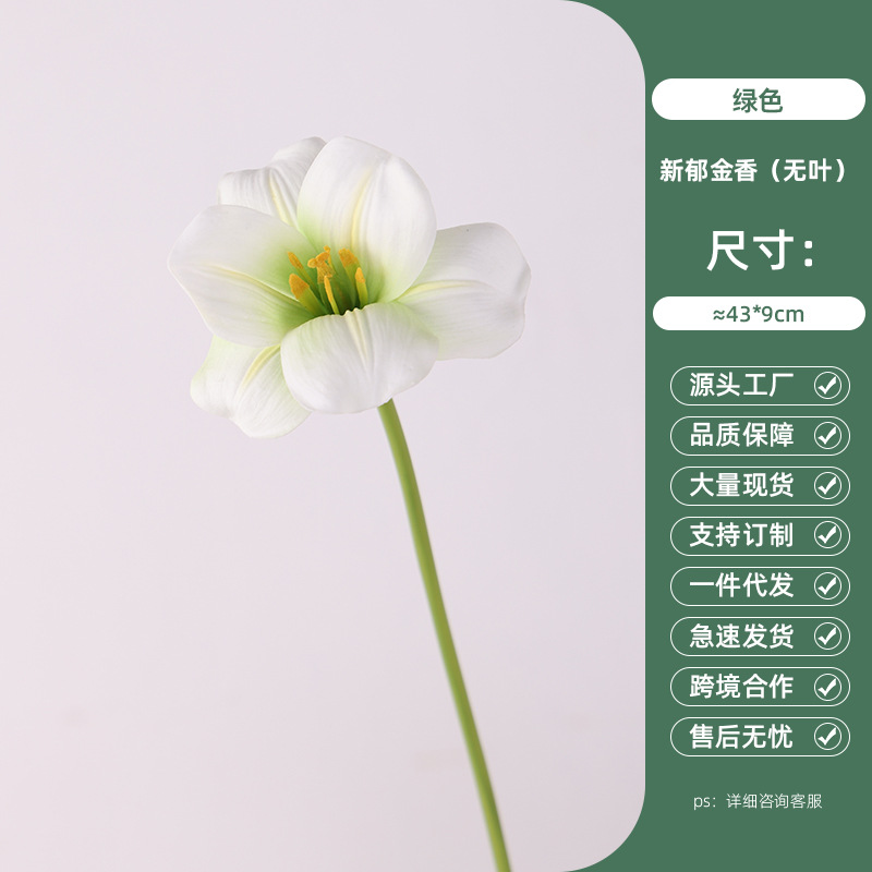 Green New Tulip (No Leaves)