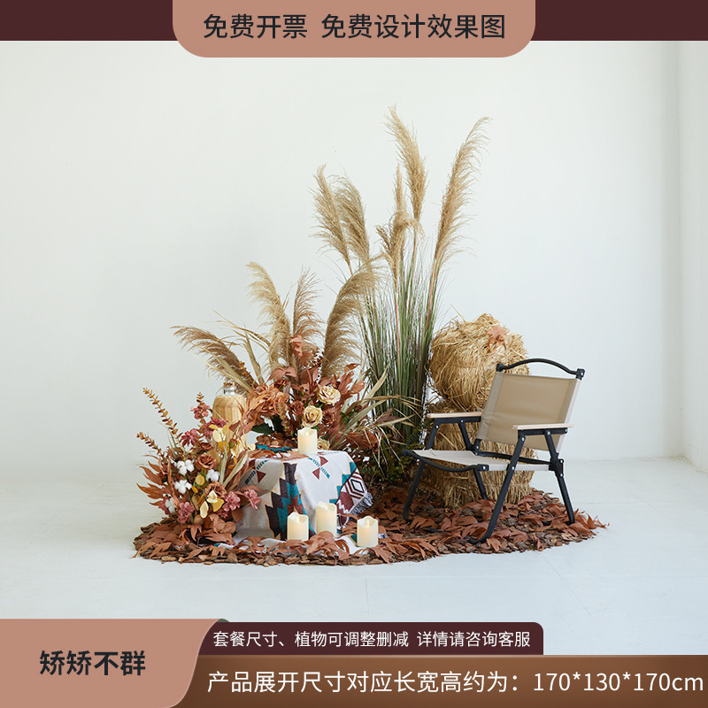 植物造景假绿植棉花云朵芦苇干花装饰直播间秋冬橱窗场景布置日暖|undefined