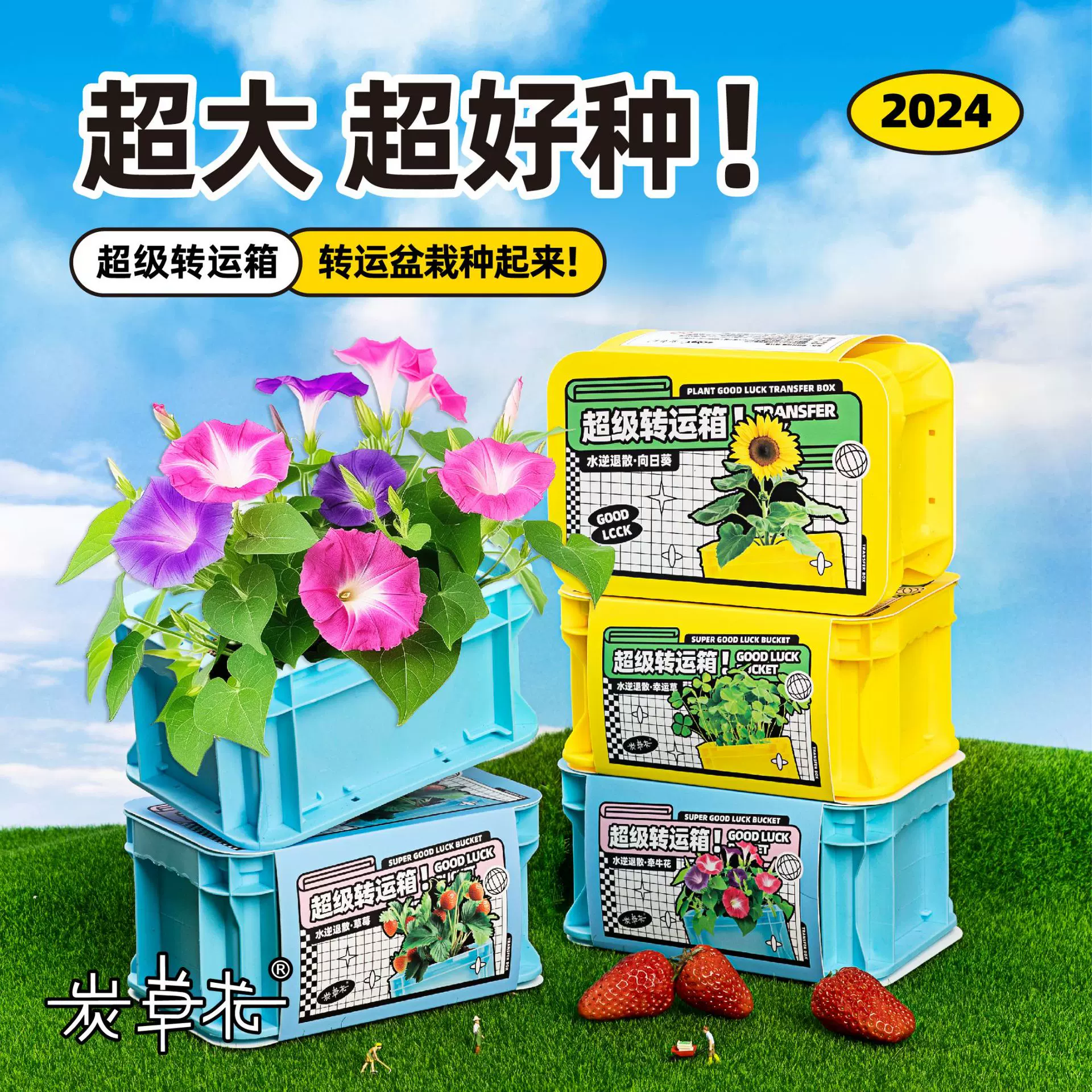 儿童种植小盆栽迷你花农开学季小学生植物室内生长观察发芽小礼品