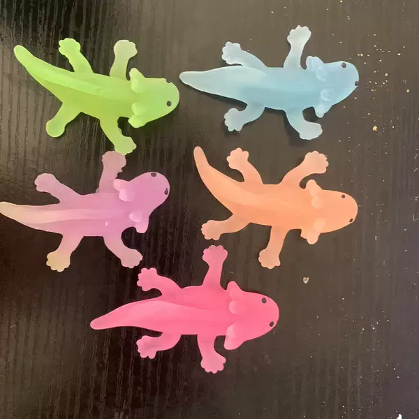 Transparent dragon series