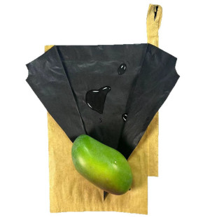 Wholesale Yunnan Wenshan Honghe Yuxi Lijiang Zhaotong Simao Xishuangbanna Bagged Mango Bagging Manufacturer Direct Delivery