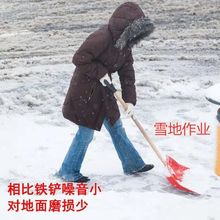 推铲雪神器钢化塑料锹熟胶锨加厚洋铲铲子垃圾铲稻谷粮食铲大小号