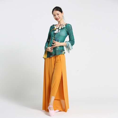 Honghua classical dance clothing body charm practice clothing gauze clothing art test trumpet sleeves plum blossom elegant ethnic dancer top