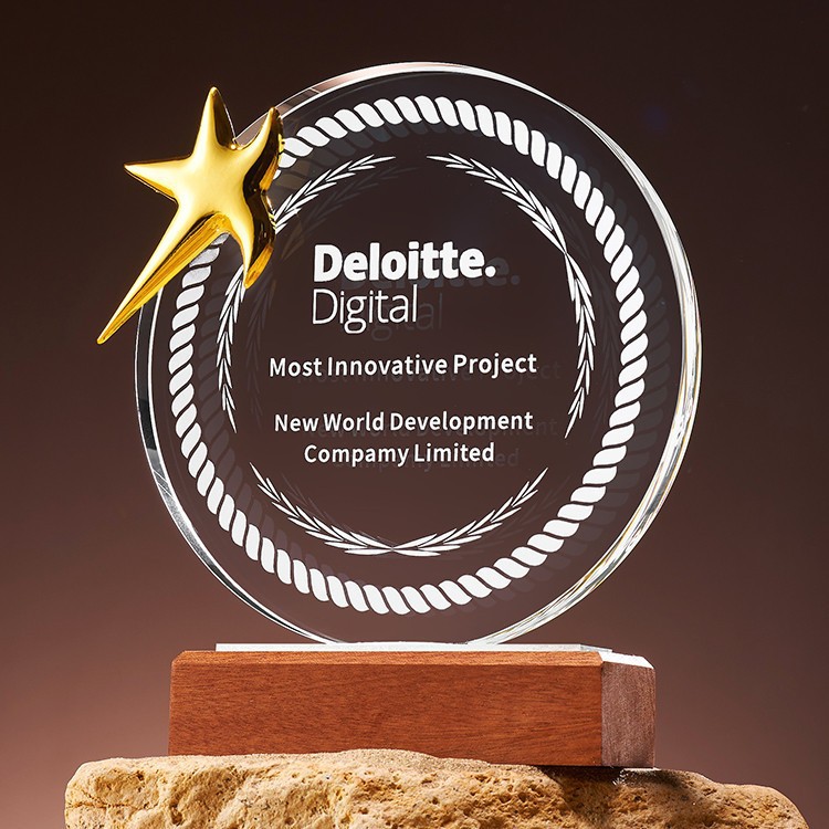 스타 모델 21cm*16cm