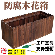 �Nֲ��ͥԺ���⻨�軨�仨��̼������ľ����N����Nֲ��¶̨�̨