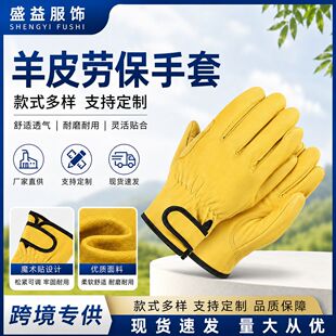 �S��늺����@���޼��N��ڱ�Ƥ������܇���ذ��\���IƤ�������l