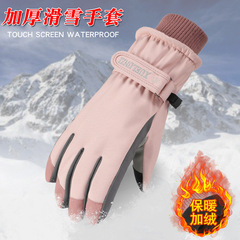Gloves Women's Winter Touch Screen Ski Gloves Outdoor Waterproof Windproof Warm Cycling Gloves Velvet Mountaineering Foreign Trade