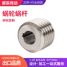 厂家直供蜗杆数控车床加工扫雪机套丝机蜗轮涡轮精密出口专用