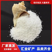 石英砂水处理滤料批发滤池草坪填充白沙微景观造景矿物白色沙子