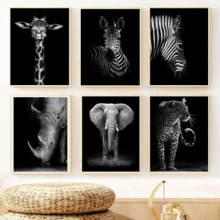 ���R�d�羳����쮋�o�򮋷��������l����{�Ӱ��R��о�ͮ����s