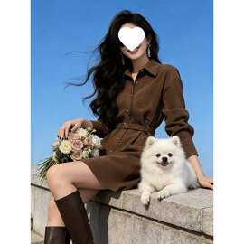 春装巨好看美拉德衬衫连衣裙子女春秋2026新款感法式气质短裙