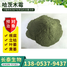 微生物菌剂哈茨木霉生产厂家 农业用菌剂微生物菌肥 哈茨木霉菌