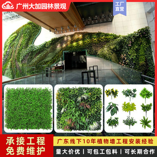 ����ֲ����쾰�b�B1��ȼ�Gֲ�����������ƺ����ֲ������G��