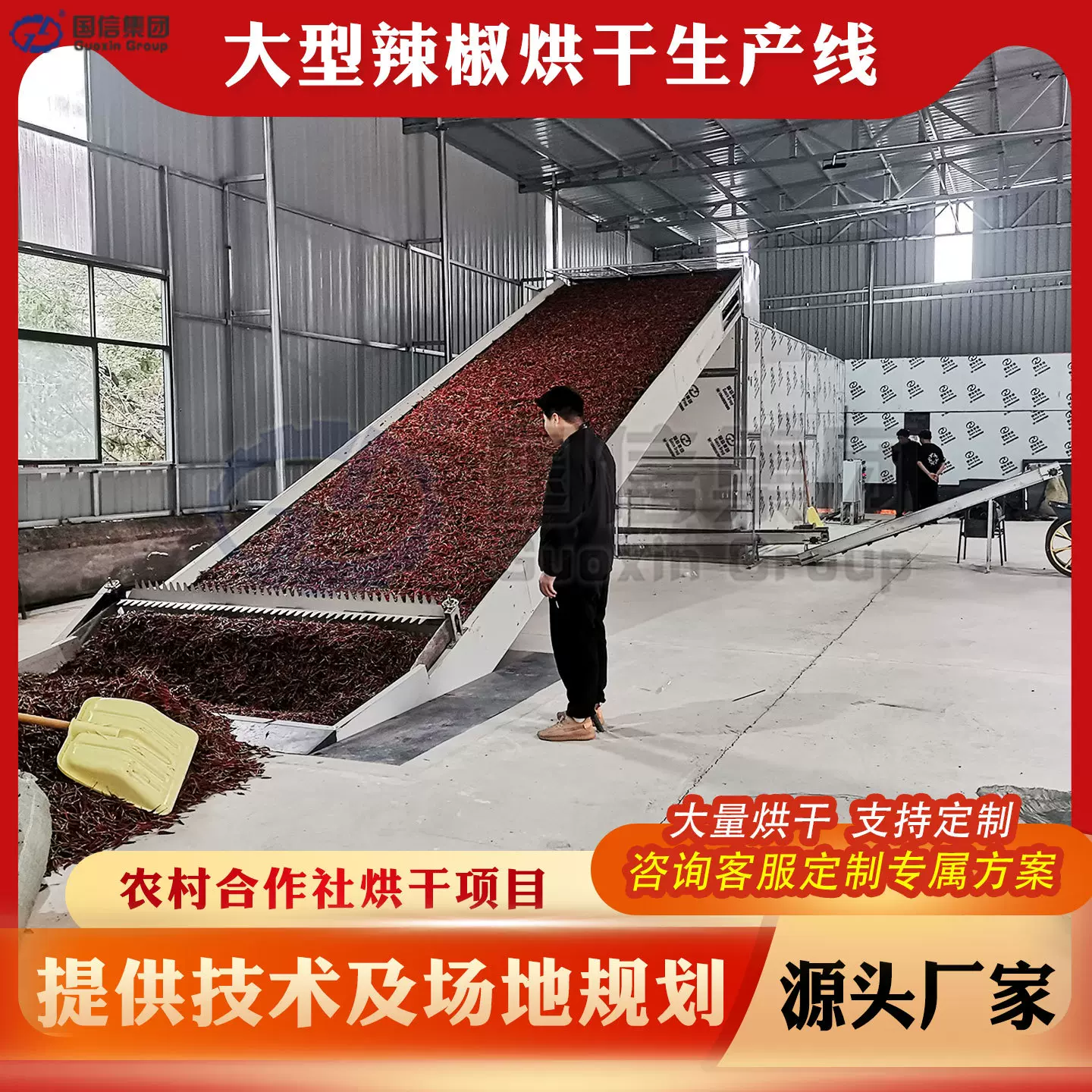 大型辣椒烘干机网带式鲜红辣椒干辣椒干燥机小米椒切段烘干生产线