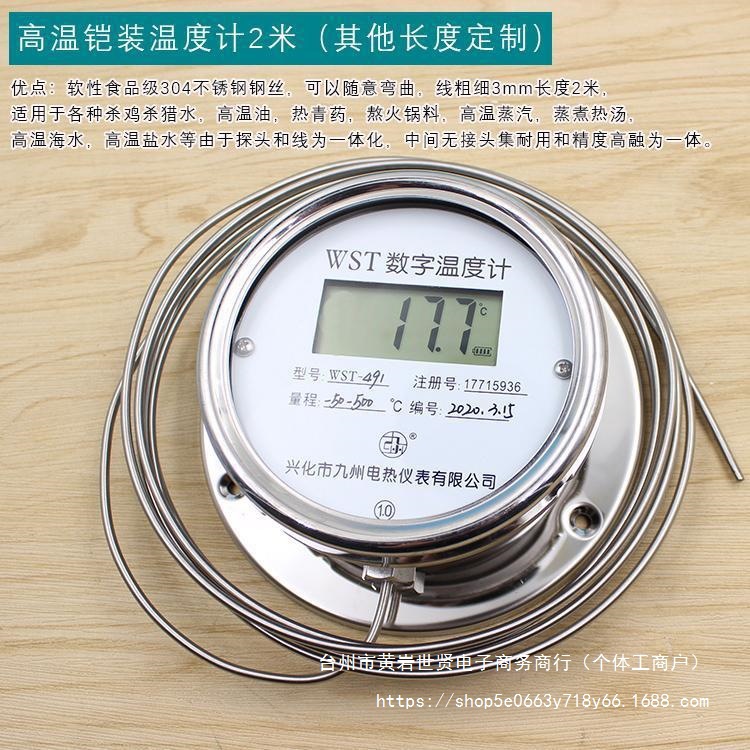数显温度计WST/DTM491高精度酸碱温度表工业防水水温表高温测温表