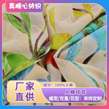 ޵ӡaӡ Rayin ޾Il bl