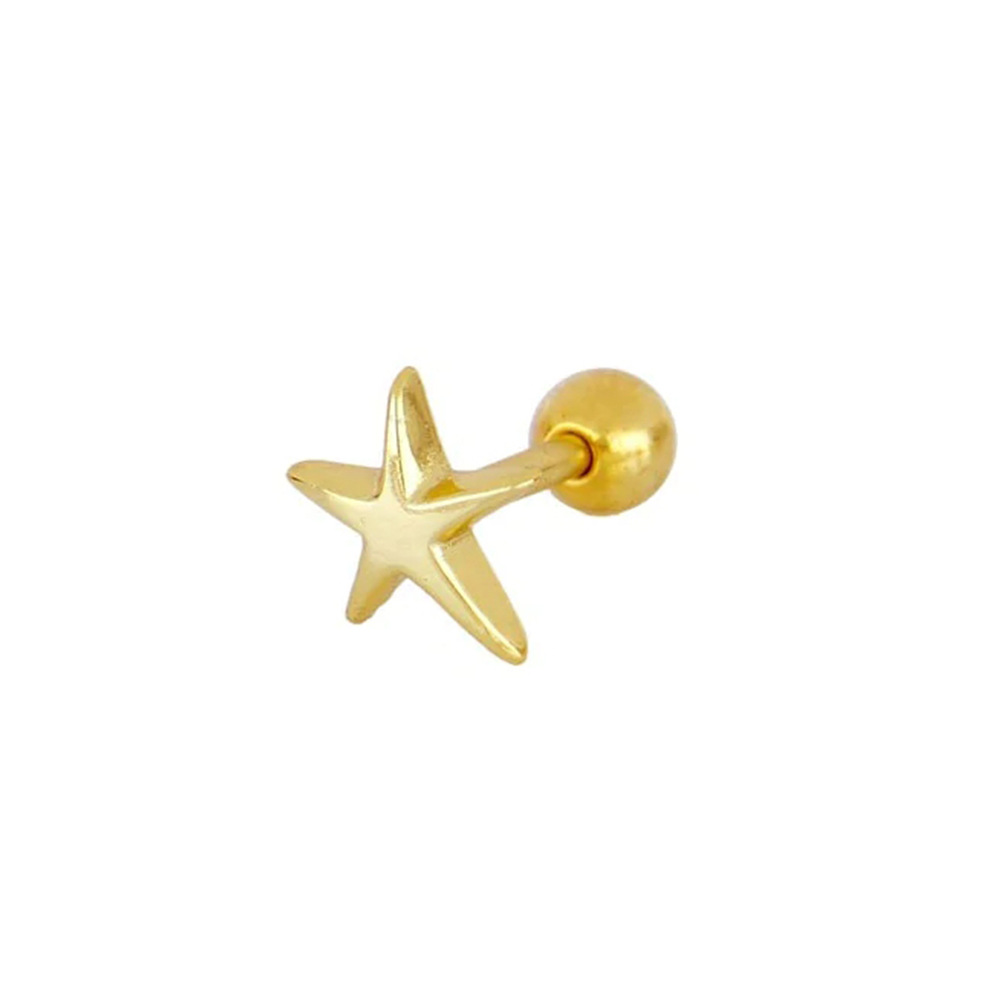 Simple Style Star Moon Sterling Silver Ear Studs 1 Piece display picture 2