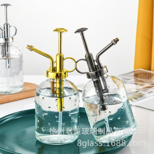 Transparent raindrop glass watering can 350ml desktop gardening potted fleshy watering can watering tools factory wholesale