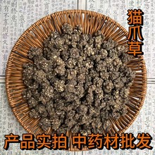 中药材批发 猫爪儿草、三散草、黄花草、小毛茛散装新货猫爪草
