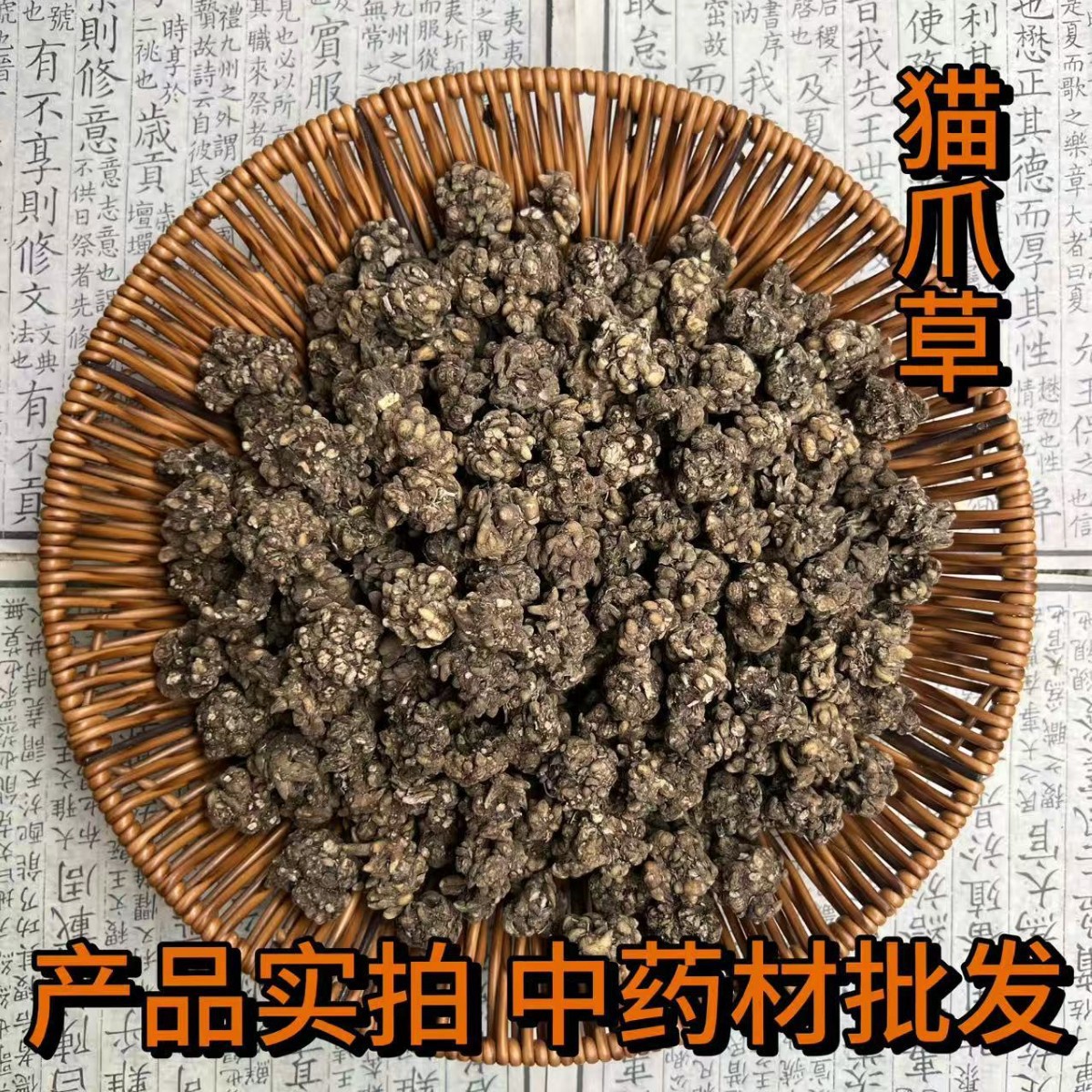 中药材批发 猫爪儿草、三散草、黄花草、小毛茛散装新货猫爪草