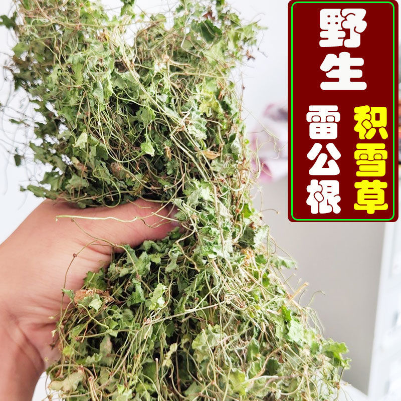 正品野生雷公根积雪草中草药材500g新货崩大碗马蹄草灯盏菜满天星