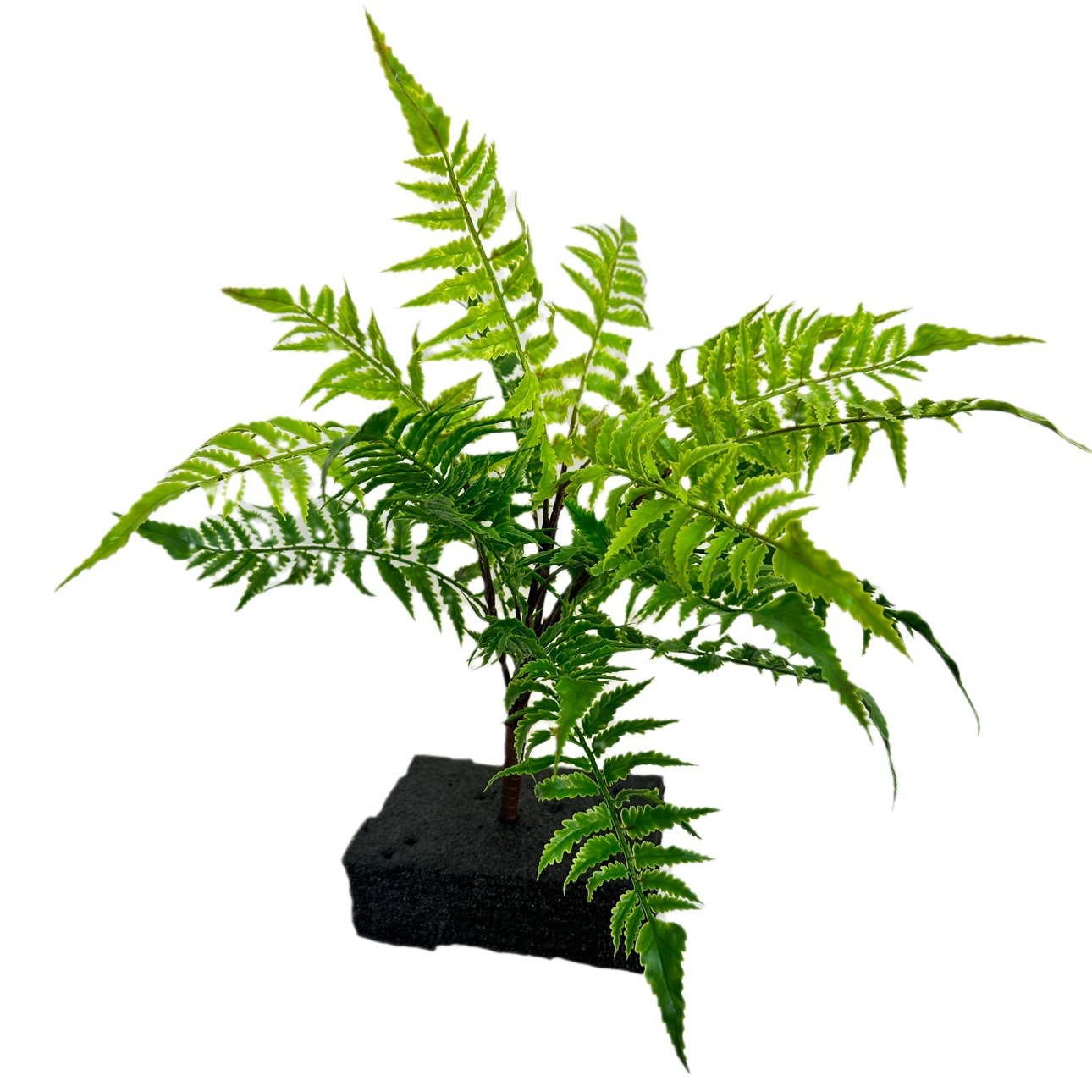 Helecho de alta imitación