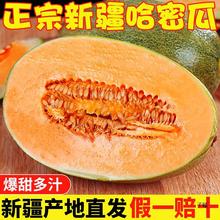 新疆哈密瓜9斤当季新鲜水果甜一整箱包邮现摘网纹瓜西州蜜瓜