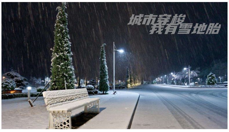 Zhengxin Snow Tire 3.00/4.00/4.50-10 Vacuum Tire Electric Tire Anti-skid Electric Tricycle Tire