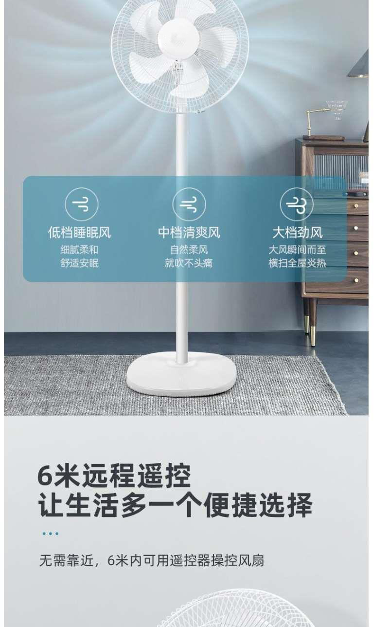詳情6
