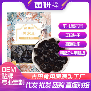 �����l���l����ľ����؛�|����ľ���o��o���������ݰl�ɺ�ľ��