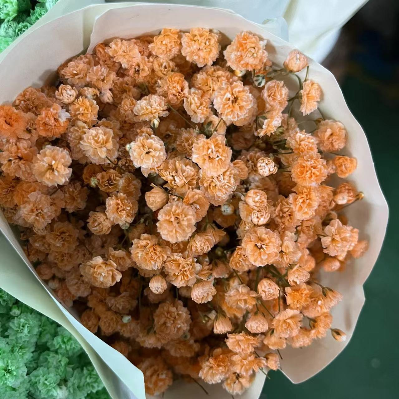 微信图片_20230222233635