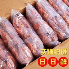 エビのお土産の焼きエビの炭素焼きはエビの大干しエビのインスタント食品の海鮮の水産の干物の焼きエビの干物の卸売りに対して代行します。
