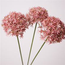 ѹӢKLֲﺆs軨廨ʽ[ӰgܛbˇWʯ