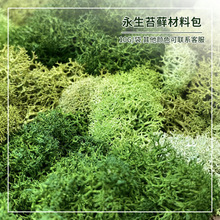 永生苔藓小粒袋10g装DIY微景观拍照练手素材装饰手工花材永生花