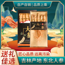 人参批发长白山人参盒装整只人参泡酒煲汤厂家批发圆参生晒参